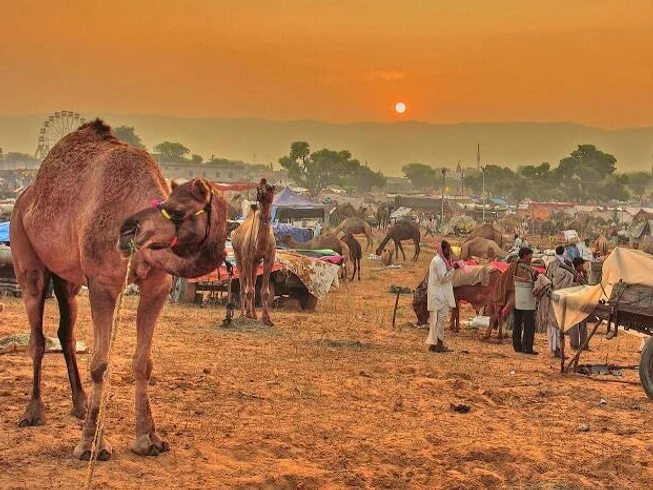 14 Day Rajasthan Royal Circuit Guided Motorcycle Tour in India photo 8