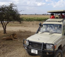 4 jours safari au Kenya au Masai Mara et au parc national du lac Nakuru en 4x4 Land Cruiser, Kenya - Photo 2
