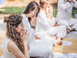 13 jours en formation de professeur de yin yoga, yoga nidra et recâblage du système nerveux à Bali, Indonésie