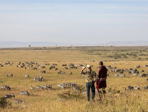 12 Day Kenya and Tanzania Wildlife and Beach Safari from Masai Mara to Zanzibar
