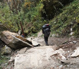 8 Day Poonhill Trek and Yoga Tour in Nepal - Photo 5