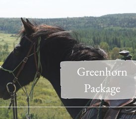 2 Day Greenhorn Package: Beginners Horse Riding Getaway in Rossburn, Manitoba, Canada - Photo 3