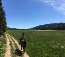 2 Tage Reitausflug mit Übernachtung in einer Mongolischen Jurte in Schwarzenbach, Schweiz - Photo 5