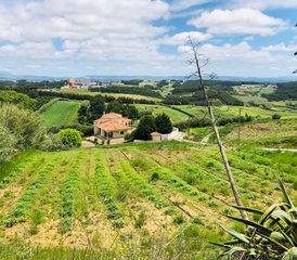7 Day Serenity and Soul All-inclusive Yoga Retreat near Lisbon, Portugal - Photo 4
