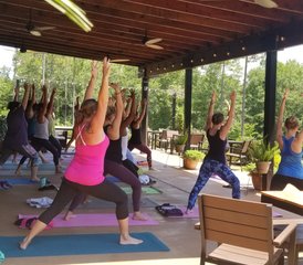 200-Hour Hybrid: Self-Paced Online and 5 Day In-Person Yoga Teacher Training in Texas, USA - Photo 2