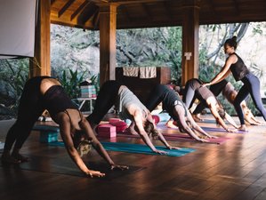 23 Tage 200-Stunden Intensive Yogalehrer Ausbildung in Byron Bay Hinterland