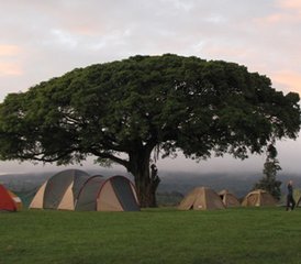 8 jours en stage de safari partagé en Tanzanie et vacances à la plage à Zanzibar - Photo 5