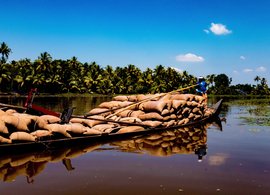Kumarakom Retreats & Trips