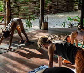 13 días de safari y yoga en Tarangire, Ngorongoro y la isla de Zanzíbar - Photo 4