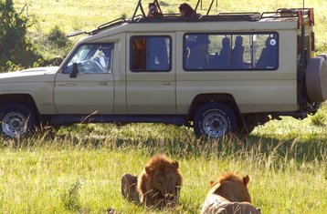 7-Daagse Kenia Budget Safari in Masai Mara, Lake Nakuru, Hell’s Gate en Amboseli