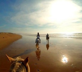28 jours en stage d’équitation à Paradise Valley, montagnes du Haut Atlas et plages, Maroc - Photo 1