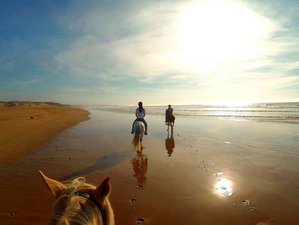 8 Day Paradise Valley, South Desert Horse Riding, and Wild Beaches Tour in the High Atlas Mountains