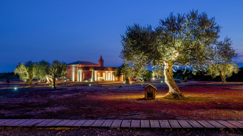 6 Day Olive Harvest Retreat and Culinary Vacation in Laconia, Peloponnese