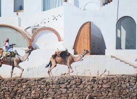 Luxor Retreats und Reisen