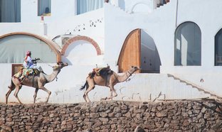 Luxor Retraites en Reizen