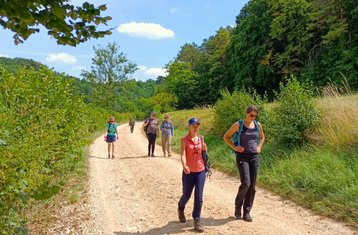 14 Day Walking Meditation and Ayurveda Detox Retreat in the Champagne-Ardenne, France
