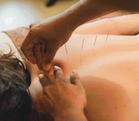 5 días de retiro de equilibrio glucémico para la diabetes tipo 2 para resetear y restaurar en Bali, Indonesia - Photo 2