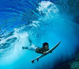 67 jours en stage de surf à North Shore, Oahu, Hawaï - Photo 1