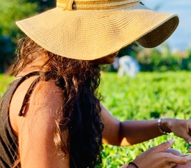 5 Day Bespoke Yoga Holiday in Qingdao, China with Green Tea Picking, Temple Visit, and More - Photo 3