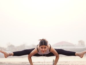 15 Day 15-Hour Online Live - Hand Balancing, Forward Fold, and Hip Opening Yoga Flow Workshop