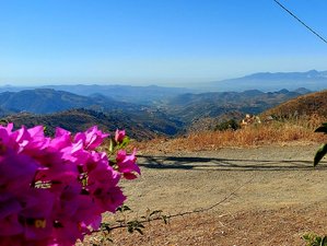 11 Day 100-Hour Yin Yoga Teacher Training: Functional Anatomy and Chinese Medicine in Málaga, Spain