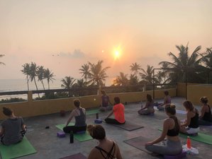 5 Day Surf and Yoga Holiday on Madeira Island, Portugal