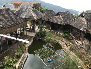 5 Day Tea Plantation Yoga Retreat in Xishuangbanna, China