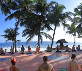 412 jours en circuit de yoga : ashrams et ayurvéda au Kerala, Inde - Photo 1