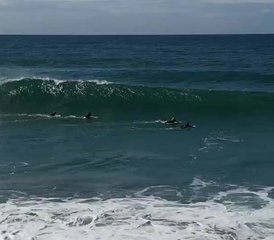 7 Day Holistic Surf Camp - Dive Into a Transformative Experience in Ayampe, Ecuador - Photo 3