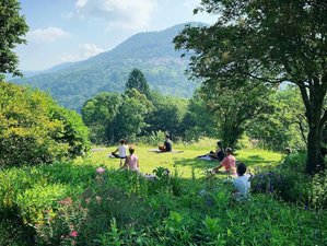 5 Day Yoga, Breathwork and Meditation Retreat in Novaggio, Ticino