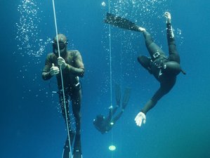 16 Day Beneath the Waves, Beyond the Self: Freedive and Yoga Retreat in Dahab, Egypt