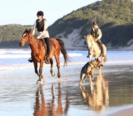 93 Day Horse Riding Holiday with Tom and Tori Horse and Heart in the Wild Coast, South Africa - Photo 1