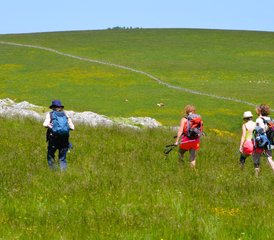 94 Jours Retraite Kundalini Yoga, Ayurveda et Reconnexion à la Nature en Aubrac - Photo 1
