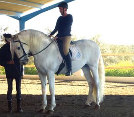 8 Day / 7 Night Horse Riding Experience in a Family Cortijo, Mollina, Malaga, Spain - Photo 3