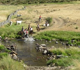 7 Day Crystalline Waters of Gredos Horse Riding Tour in Spain - Photo 3