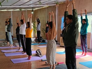 50 Day 500-Hour Multi-Style Yoga Teacher Training Course in Chamoli, India