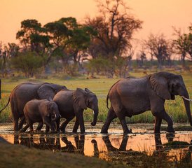 5 dagen De klassieke Tanzania safari-ervaring - Photo 4