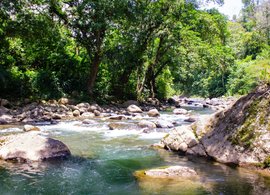 Puerto Viejo de Talamanca Retreats & Trips
