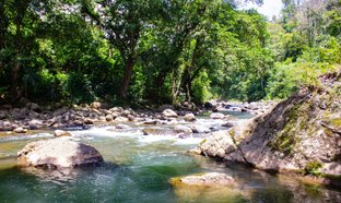 Puerto Viejo de Talamanca Retreats und Reisen