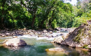 Puerto Viejo de Talamanca Retraites et Voyages