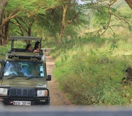 9 jours de safari au Kenya et en Tanzanie - Photo 3