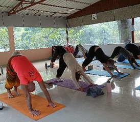 25 días de curso de formación de profesores y 200 horas con sanación con sonido en Rishikesh, India - Photo 3