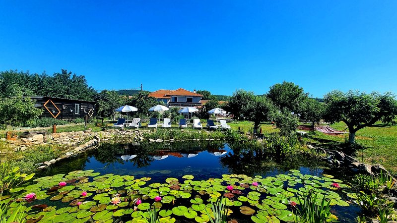 4 Day Reiki Level 1 Training Retreat in Burgas, Bulgaria
