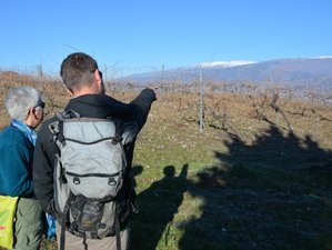 5 Day Hiking Holiday in the Alpujarras
