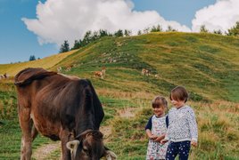 Family-Friendly Retreats & Trips