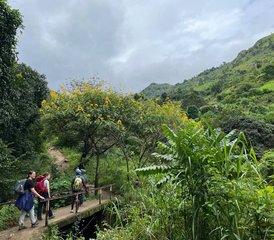 2 Tage Mikumi Nationalpark Safari Mit Uluguru Mount Choma Wasserfälle Trekking in Tansania - Photo 3