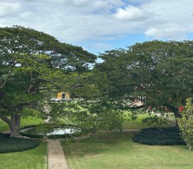 4 días de retiro de yoga cultural en Yucatán, México con estancia en hacienda, tours mayas, cenotes y cocina - Photo 5