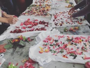 4 Day May Flower Retreat in Devon, UK