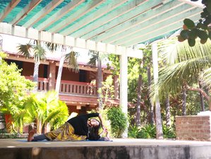 10-Hour Online Prana Yoga and Pranayama Course with 10 Live Sessions