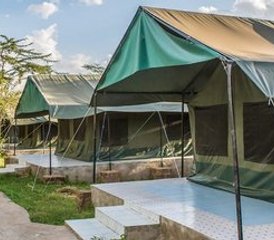 7 jours en stage de safari à Amboseli, Maasai Mara, Hell's Gate, lac Naivasha et lac Nakuru, Kenya - Photo 5